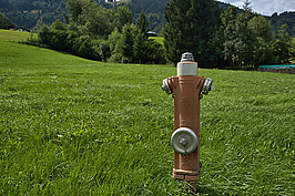 Bernhard Saalfeld - DSC07985 -1